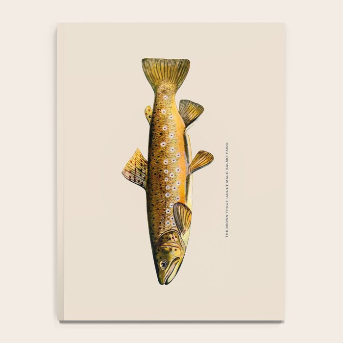 The Brown Trout Notebook Gallery Image 4