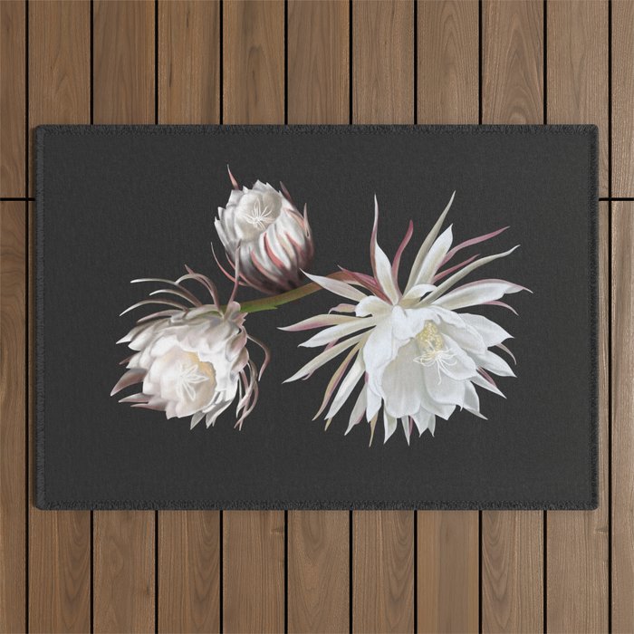 Queen of the Night Outdoor Rug Gallery Image 1
