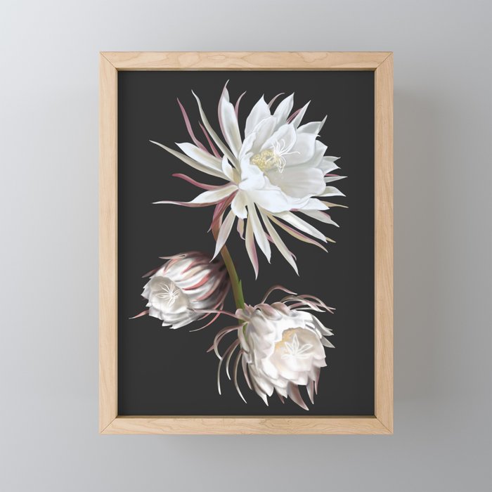 Queen of the Night Mini Art Print Gallery Image 1