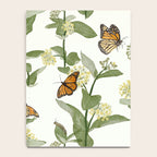 Monarch's Milkweeds Notebook Gallery Image 4