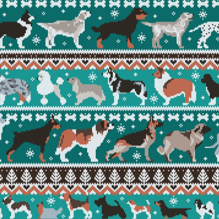 Fluffy and bright fair isle knitting doggie friends // pine and java green background brown orange white and grey dog breeds  Coffee Mug Gallery Image 2