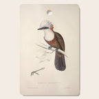 White-crested laughingthrush by Elizabeth Gould, 1831 Cutting Board Gallery Image 1