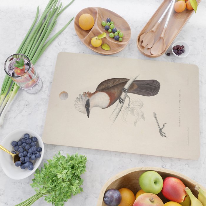 White-crested laughingthrush by Elizabeth Gould, 1831 Cutting Board Gallery Image 2