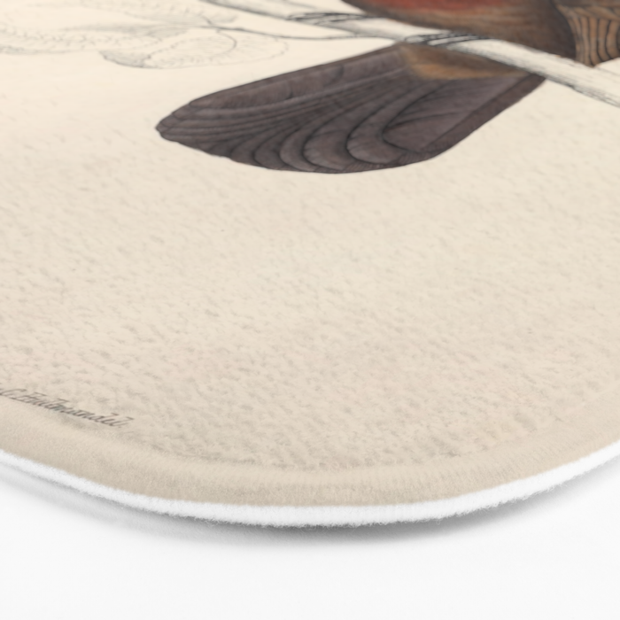 White-crested laughingthrush by Elizabeth Gould, 1831 Bath Mat Gallery Image 3