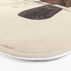 White-crested laughingthrush by Elizabeth Gould, 1831 Bath Mat Gallery Image 3