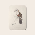 White-crested laughingthrush by Elizabeth Gould, 1831 Bath Mat Gallery Image 1