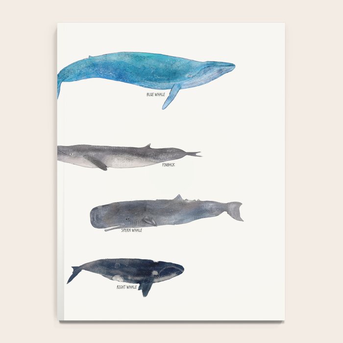whales Notebook Gallery Image 4