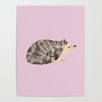Hedgehog Rose Pink Poster Gallery Image 4