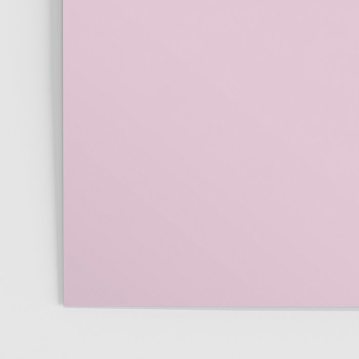 Hedgehog Rose Pink Poster Gallery Image 3