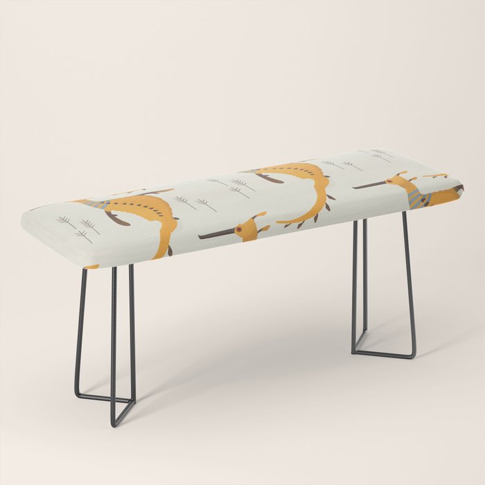 Weedy Seadragon, Marine Animal of Victoria, Australia Bench Gallery Image 1