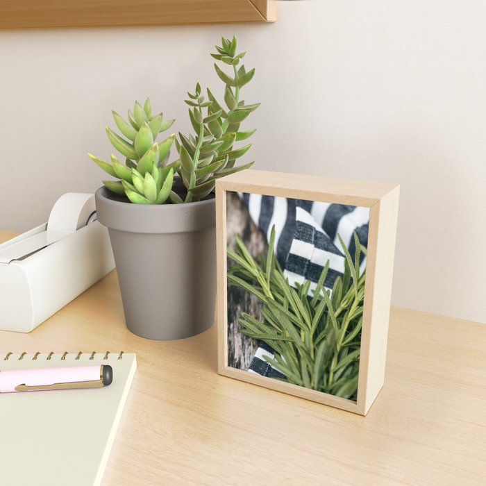 Rosemary Stripe Mini Art Print Gallery Image 2