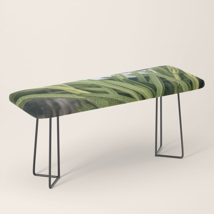 Rosemary Stripe Bench Gallery Image 1