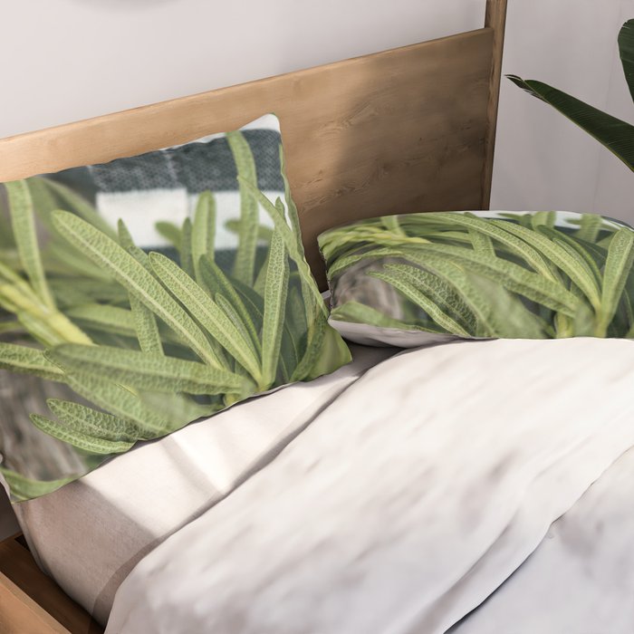 Rosemary Stripe Pillow Sham Gallery Image 2