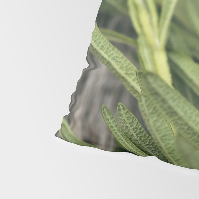 Rosemary Stripe Pillow Sham Gallery Image 4