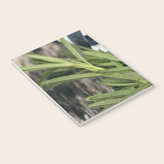 Rosemary Stripe Notebook Gallery Image 3