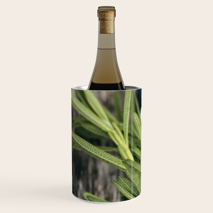 Rosemary Stripe Wine Chiller Gallery Image 2