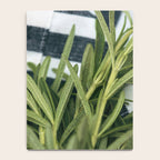 Rosemary Stripe Notebook Gallery Image 4