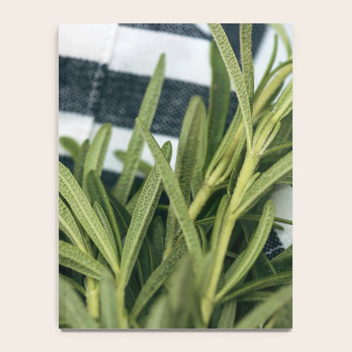 Rosemary Stripe Notebook Gallery Image 4