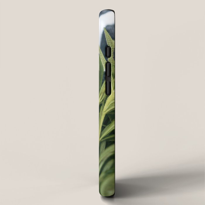 Rosemary Stripe iPhone Case Gallery Image 2