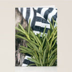 Rosemary Stripe Stationery Card Gallery Image 2