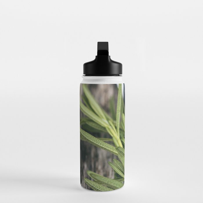 Rosemary Stripe Water Bottle Gallery Image 3