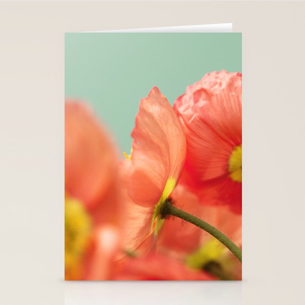 Pastel Poppy # Stationery Card Gallery Image 2