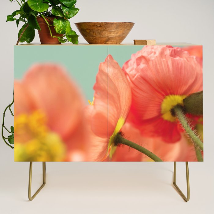 Pastel Poppy # Credenza Gallery Image 1