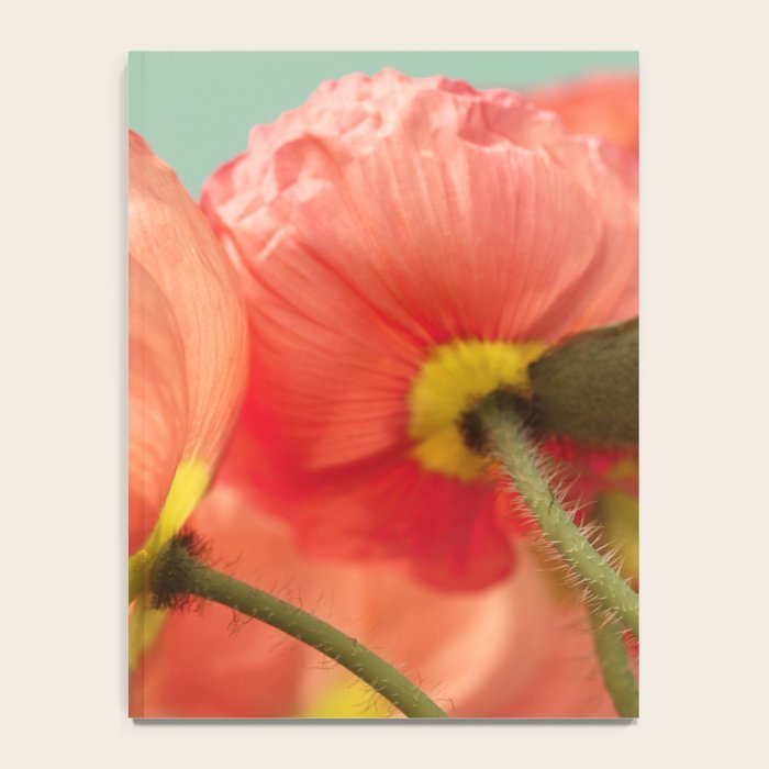 Pastel Poppy # Notebook Gallery Image 4