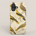 Orioles from The Edinburgh Journal, 1835 (benefitting The Nature Conservancy) iPhone Case Gallery Image 1