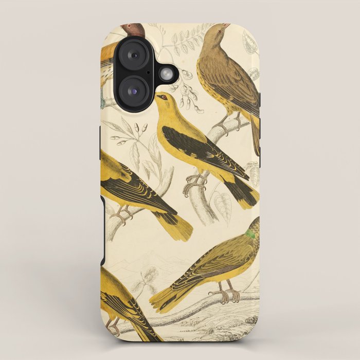 Orioles from The Edinburgh Journal, 1835 (benefitting The Nature Conservancy) iPhone Case Gallery Image 1