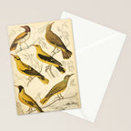 Orioles from The Edinburgh Journal, 1835 (benefitting The Nature Conservancy) Stationery Card Gallery Image 2
