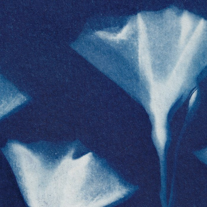 Magic in the Ordinary #3 Coffee Mug Gallery Image 2