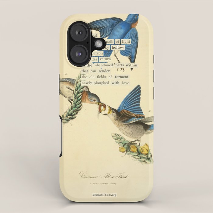 Bird Divinations: Blue Bird (about: almanacofbirds.org) iPhone Case Gallery Image 1