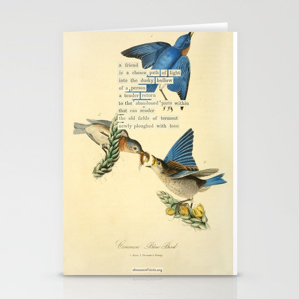 Bird Divinations: Blue Bird (about: almanacofbirds.org) Stationery Card Gallery Image 1