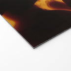 Tortoise Shell | Monarch Welcome Mat Gallery Image 2