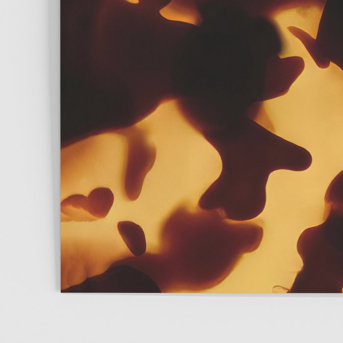 Tortoise Shell | Monarch Poster Gallery Image 3