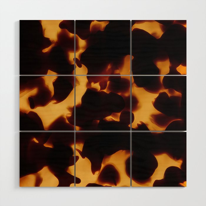 Tortoise Shell | Monarch Wood Wall Art Gallery Image 1