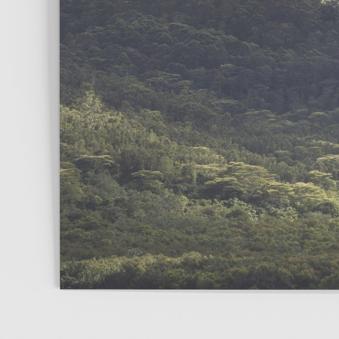 Tropical Mist Poster Gallery Image 3