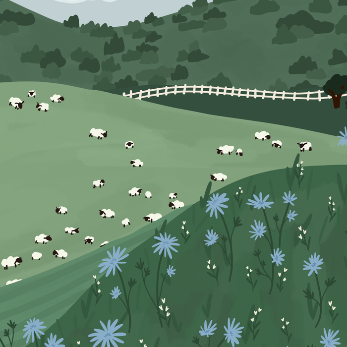 Countryside with Sheep Coffee Mug Gallery Image 2