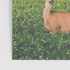Clover Fields Poster Gallery Image 3