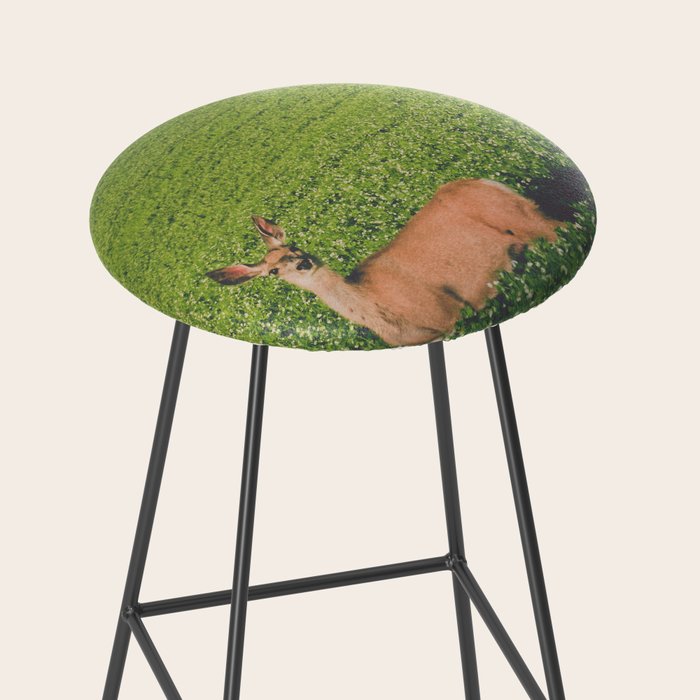 Clover Fields Stool Gallery Image 2