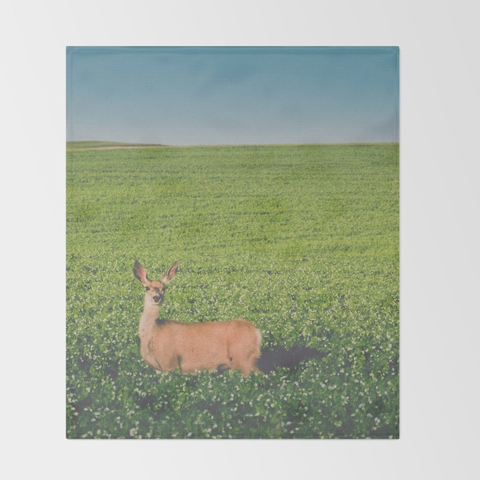 Clover Fields Throw Blanket Gallery Image 2