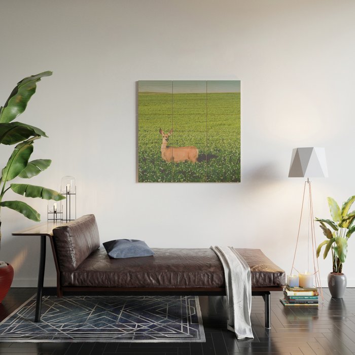 Clover Fields Wood Wall Art Gallery Image 2
