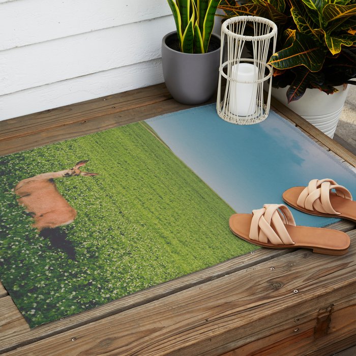 Clover Fields Outdoor Rug Gallery Image 2