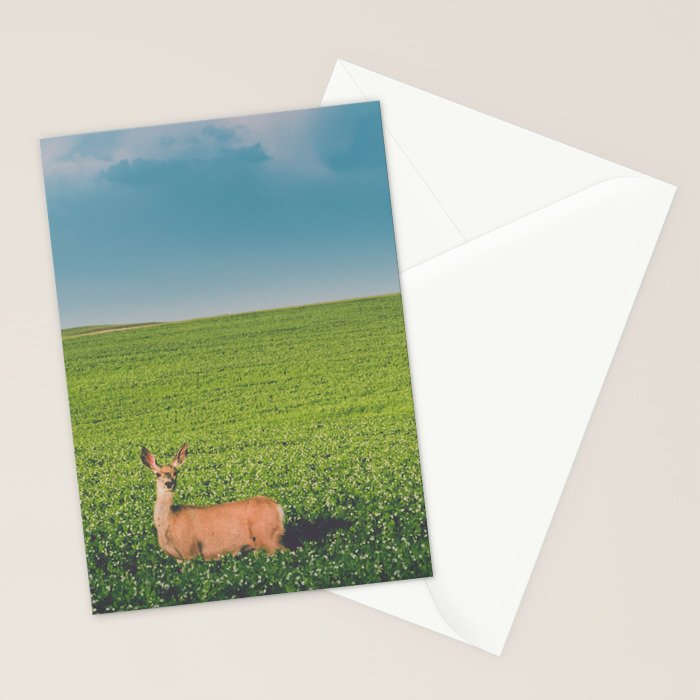 Clover Fields Stationery Card Gallery Image 2