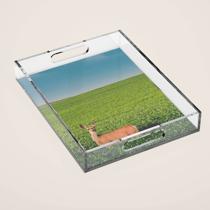 Clover Fields Acrylic Tray Gallery Image 1
