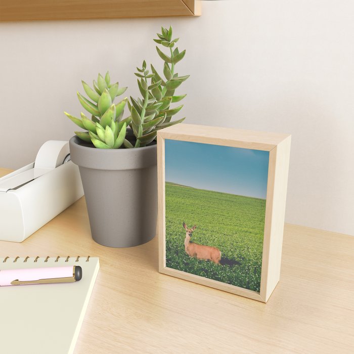 Clover Fields Mini Art Print Gallery Image 2