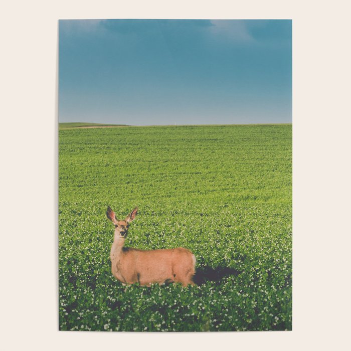 Clover Fields Poster Gallery Image 1