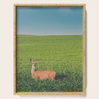 Clover Fields Serving Tray Gallery Image 1