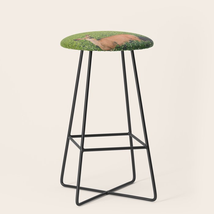 Clover Fields Stool Gallery Image 1